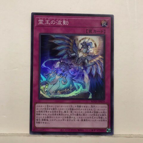 楽天市場】霊王の波動の通販