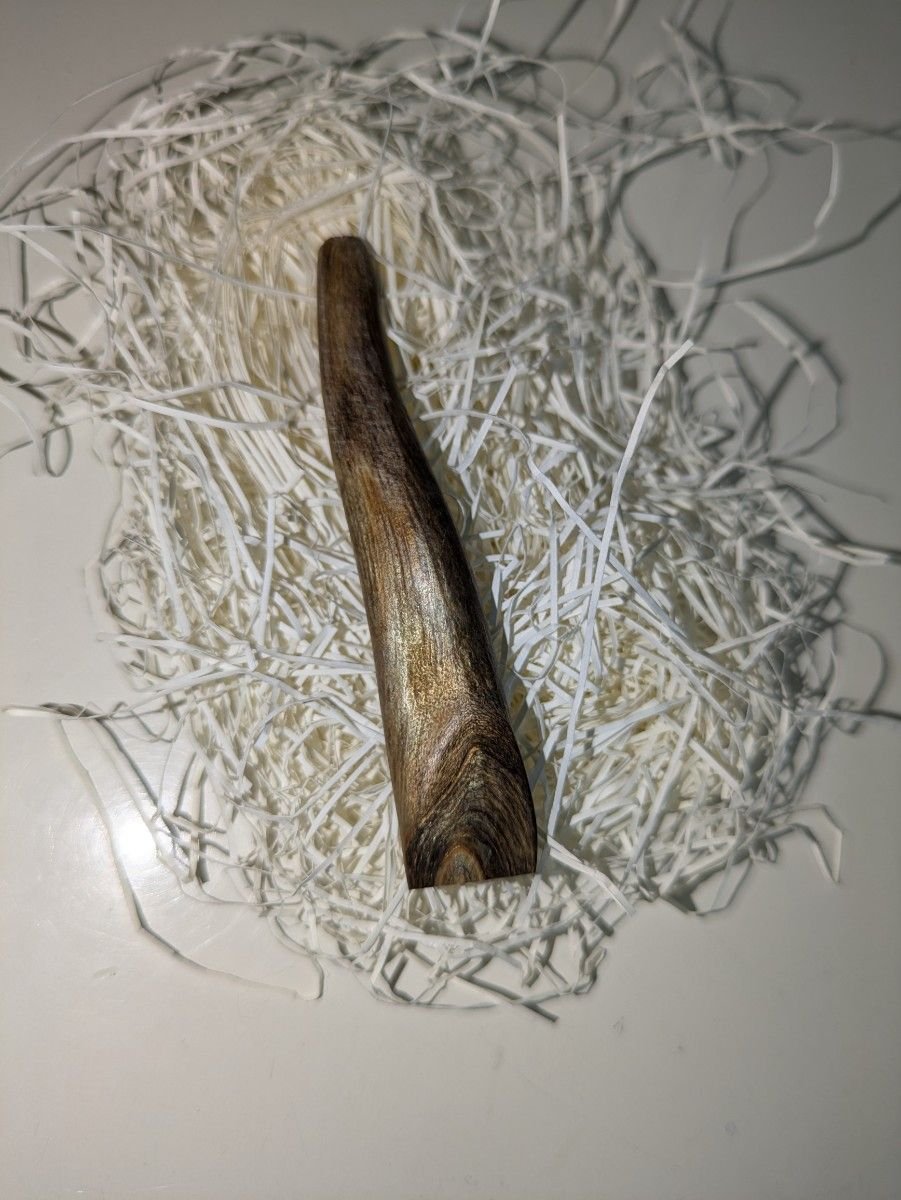 本日限定価格）希少 レア 日本の北方の深海 深海松（レインボー