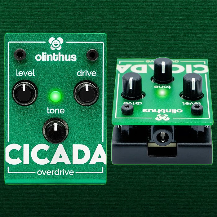 Guitar Pedal X - GPX Blog - Olinthus' tiny Screamer style Cicada