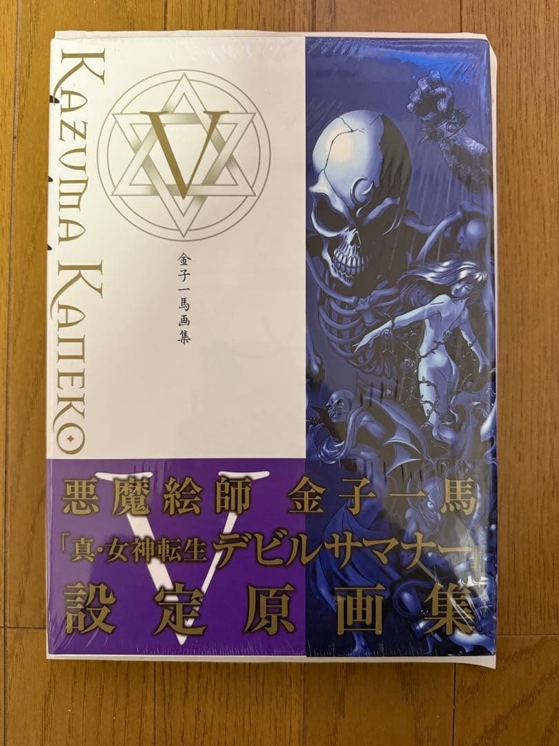 新品未開封 金子一馬画集 5 初版 金子一馬画集V | 金子 一馬 |本 | 通販 | Amazon