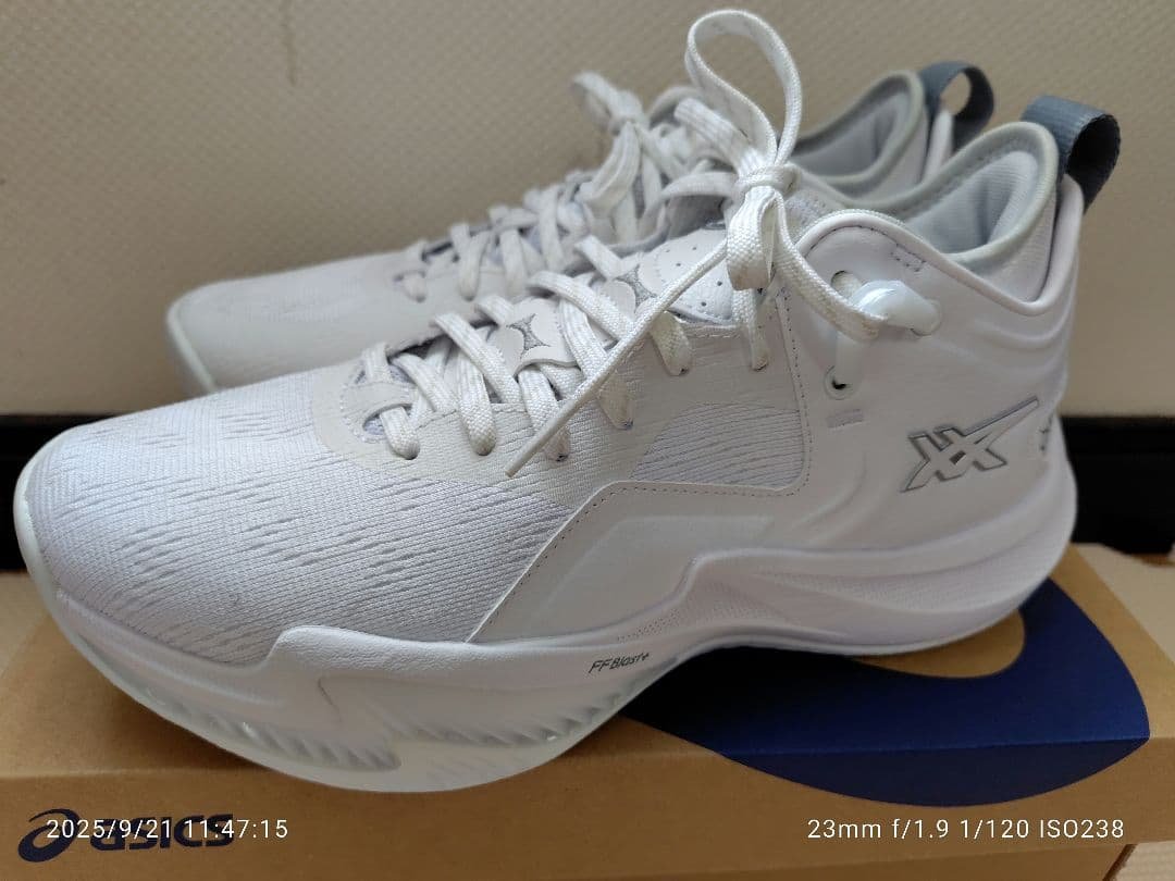 アシックス ノヴァサージロー2 25.0美品 NOVA SURGE Low2 NOVA SURGE LOW 2 | Stillwater/Ocean Decay | バスケットボール